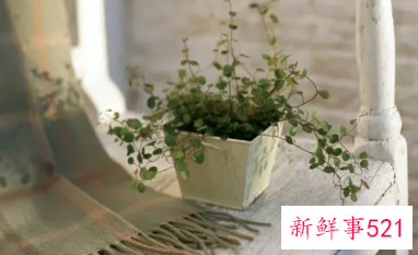 开晨会激励员工的话术