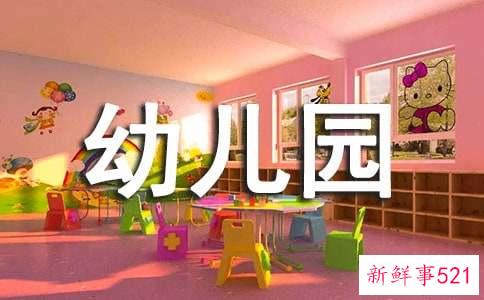 幼儿园教学总结