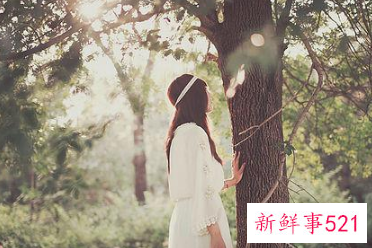 经典句子人生感悟