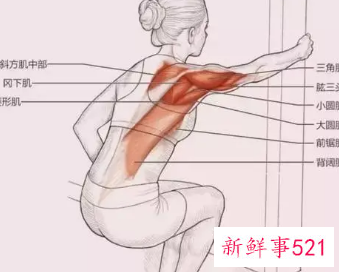 肩部最好的拉伸动作