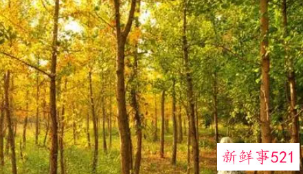 学生变美的自然方法