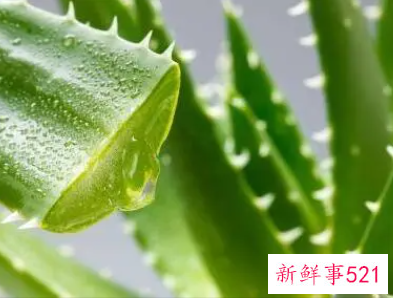 脸部毒素怎么排除