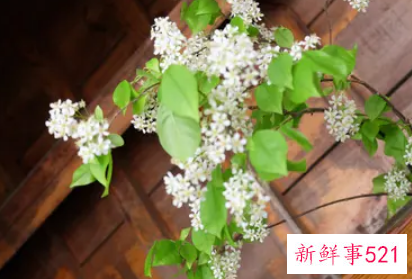 五一适合去哪里玩穷游沈阳