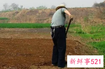 梦见在干活什么意思