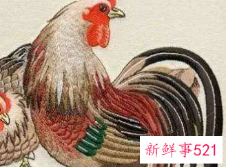 1981年属鸡人永远最旺的数字