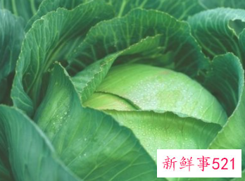 春季时令蔬菜有哪些