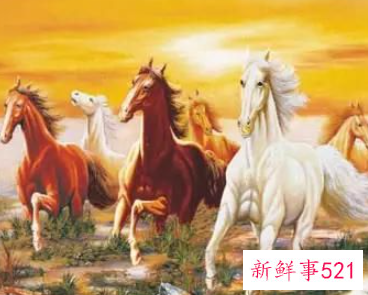 家中挂哪些画会财运不断