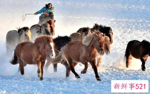 78年属马的不幸婚姻