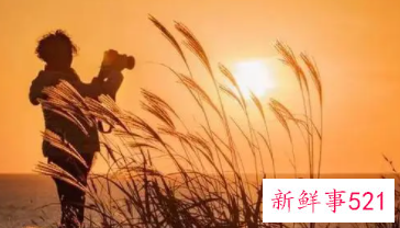 梦见照相簿有什么征兆