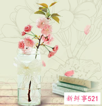 活动策划方案怎么做