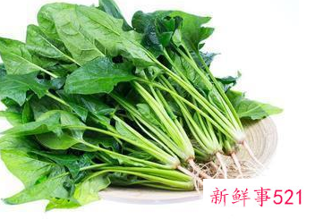 鱼和菠菜相克吗