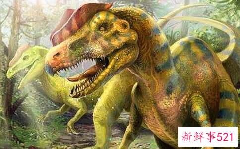 梦见恐龙会怎么样