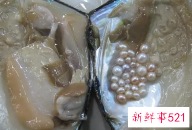 河蚌怎样才能产珍珠