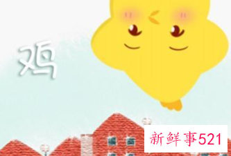 生肖女鸡最佳配偶属相