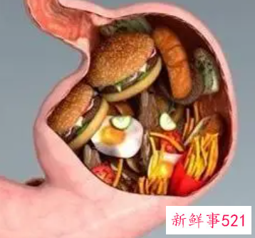 常吃太饱的危害