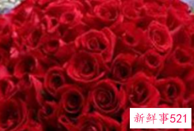 红玫瑰代表什么意思