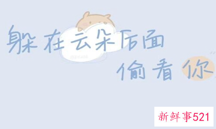 一段走心而深情的表白文案