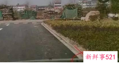 自动挡开车技巧顺口溜