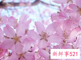 国庆期间桃花运最旺的几大星座