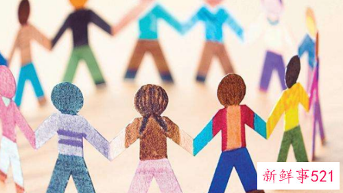 社会工作情况怎么填写