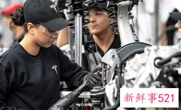 马斯克明确特斯拉裁员比例