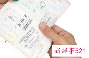 网上驾驶证怎么换