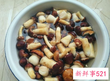 云南赤松茸怎么吃