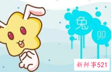 属兔人倒霉的年份