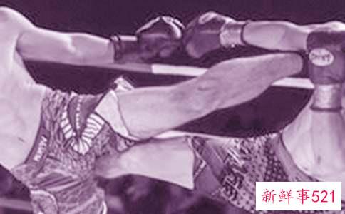 梦见蛇打架是什么寓意