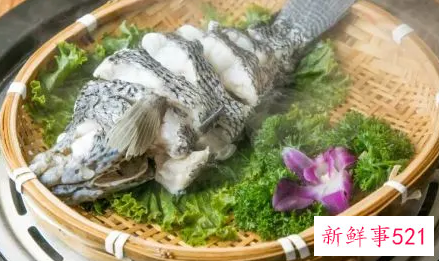 春天吃鱼肉好吗