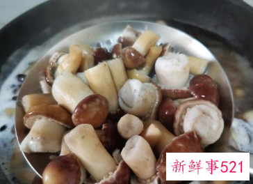 云南赤松茸怎么吃