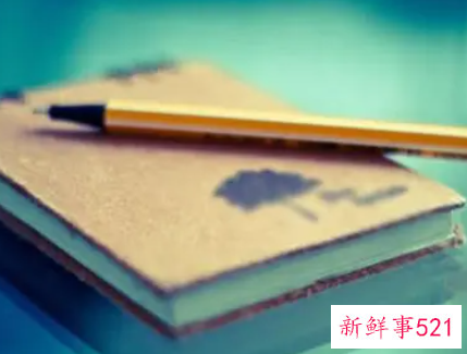 从事学校财务的工作感想