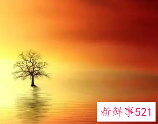 为什么能感受到别人在想自己