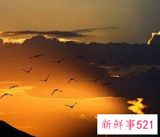 梦见失财意味着什么周公解梦