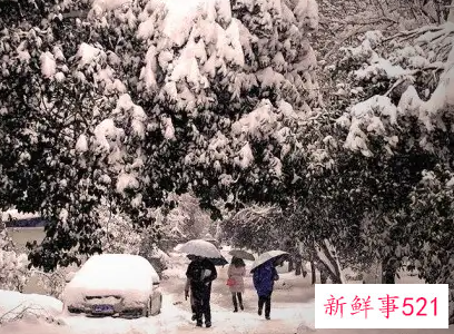 梦见下鹅毛大雪是什么意思