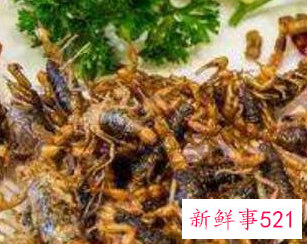 吃蝎子有什么好处坏处