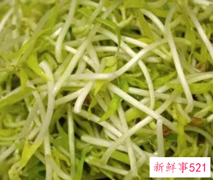 绿豆芽菜的营养价值及功效