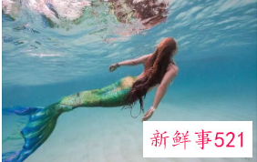 梦见美人鱼是怎么回事