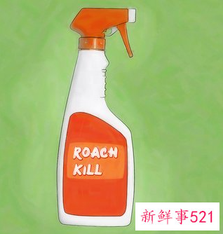 如何消除蟑螂