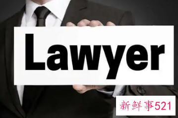 律师的职业类型