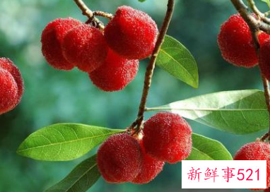 绿豆的最佳搭配