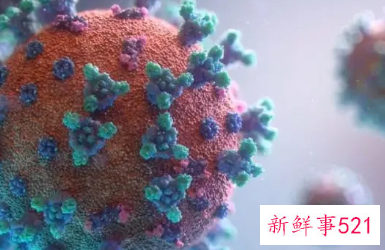 内蒙古餐厅和疫情传播关键点有什么关系