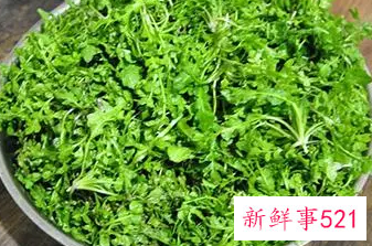 荠菜怎么冷冻才会像新的一样