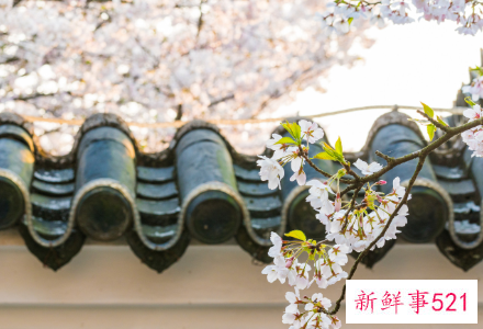 立春节气的含义是什么