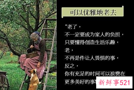 女人优雅的老去名句