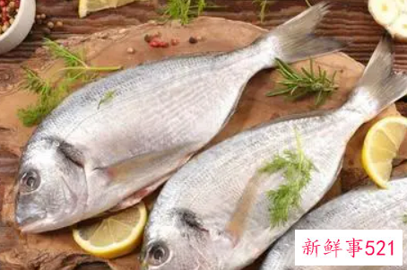 鱼肉的营养价值与功效