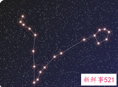 天生桃花眼的星座女
