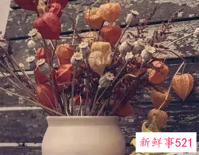 怎么撩男人的心