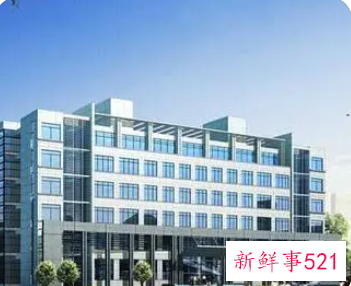 公司无财产可执行法人