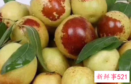 冬枣的功效与作用禁忌